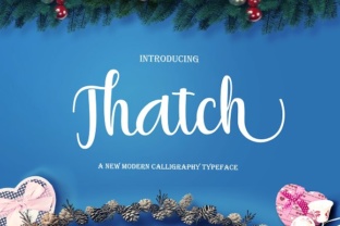 Thatch: A Modern Script Font for Thoughtful Design